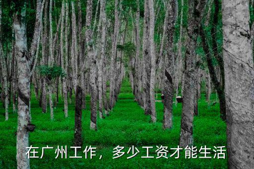 在廣州一天三頓的廚師多少錢,廣東廚師學校學費大概多少