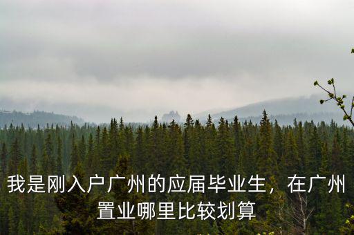 我是剛入戶廣州的應屆畢業生，在廣州置業哪里比較劃算