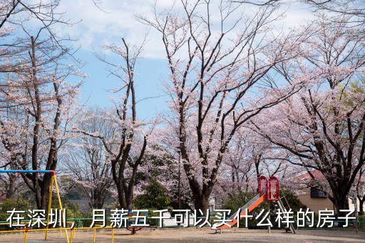 在深圳，月薪五千可以買什么樣的房子