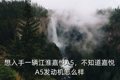 中山嘉悅a5怎么樣,嘉悅a5發動機可靠嗎