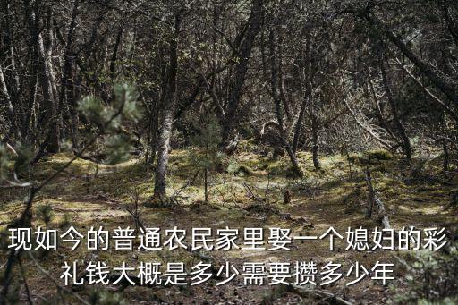 浙江娶媳婦嫁女要多少錢,溫州結(jié)婚娶媳婦要多少彩禮