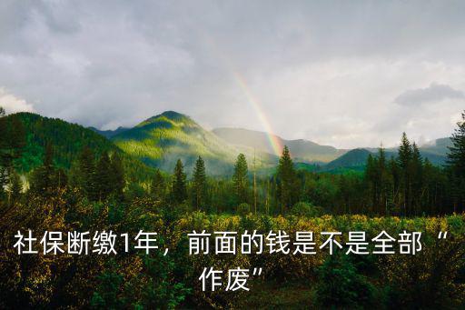 惠州社保斷繳一年怎么辦,社保斷繳1年