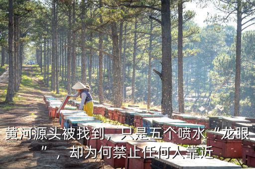 黃河源頭被找到，只是五個噴水“龍眼”，卻為何禁止任何人靠近