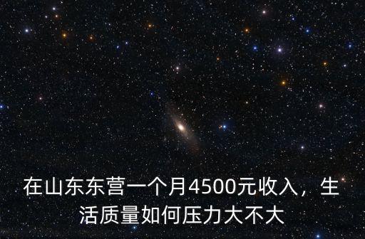 山東東營保姆多少錢一個月,做飯干家務多少錢
