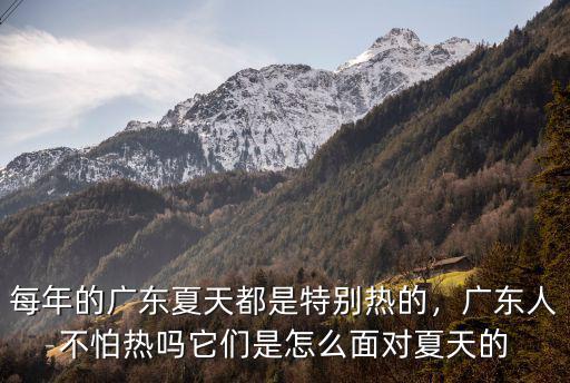 廣東一年熱死多少人,廣東人不怕熱嗎