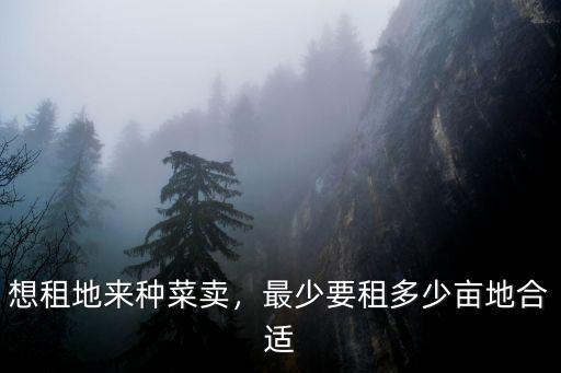 想租地來種菜賣，最少要租多少畝地合適