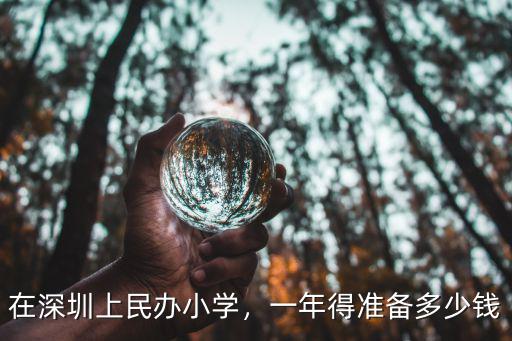 在深圳上民辦小學，一年得準備多少錢