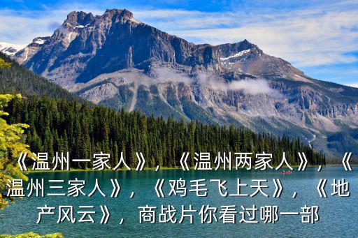 溫州一家人口碑是多少,《溫州一家人》