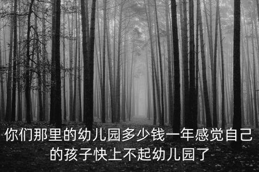 你們那里的幼兒園多少錢一年感覺自己的孩子快上不起幼兒園了