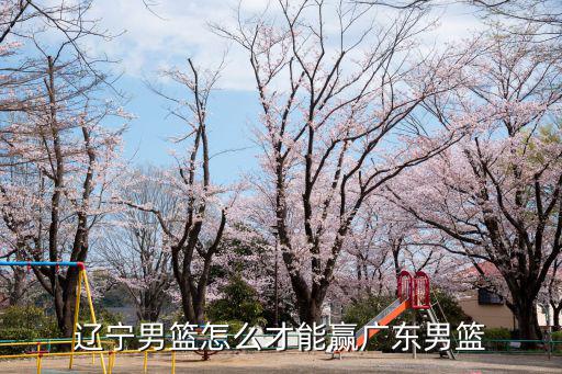 遼寧男籃vs廣東男籃在哪里打,遼寧男籃怎么才能贏廣東男籃