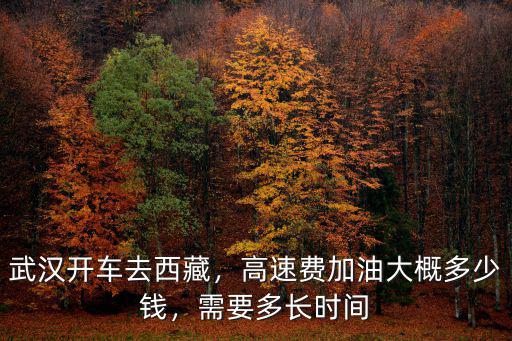 武漢到嘉興高速費(fèi)多少,武漢開(kāi)車(chē)去西藏