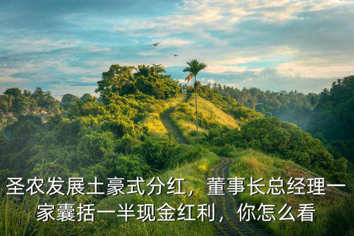 廣東土豪分紅多少,廣東的土豪村都是什么樣的