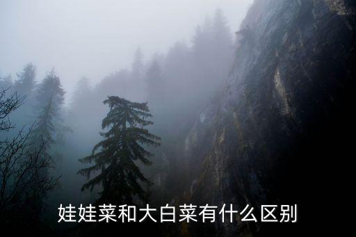 娃娃菜和大白菜有什么區(qū)別