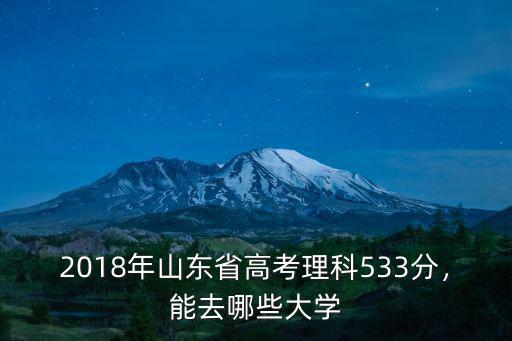 2018年山東省高考理科533分，能去哪些大學(xué)