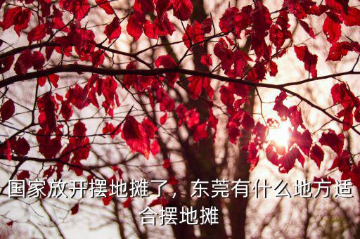 東莞哪里擺地攤老年人最多,東莞晚上在哪里擺地攤比較好