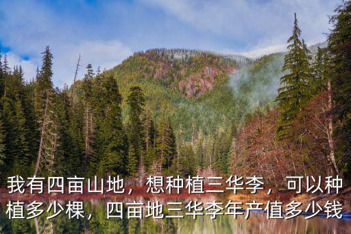 我有四畝山地，想種植三華李，可以種植多少棵，四畝地三華李年產值多少錢