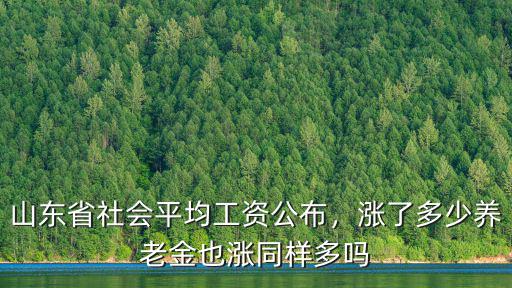 山東省社會平均工資公布，漲了多少養老金也漲同樣多嗎