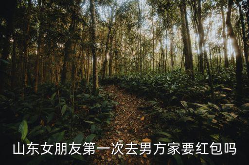 淄博女生第一次去男方家多少紅包,男方父母給多少紅包合適