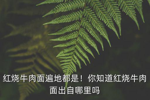 汕頭哪里有正宗紅燒牛肉面,紅燒牛肉面遍地都是