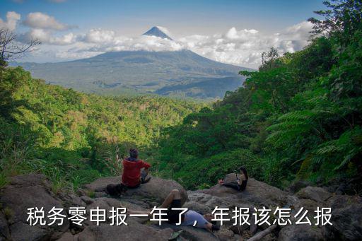 稅務零申報一年了，年報該怎么報