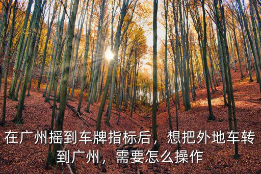 廣州今年車牌搖號(hào)怎么搖,在廣州搖到車牌指標(biāo)后