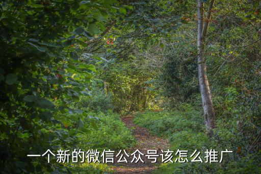 佛山微信公眾平臺推廣多少錢,微信公眾號和微信小程序