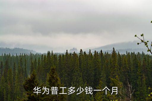 金華企業(yè)招一個碩士給多少錢,華為普工多少錢一個月