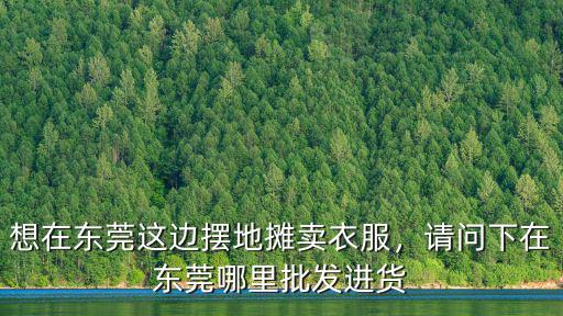 東莞匯方服飾在哪里,請問下在東莞哪里批發進貨