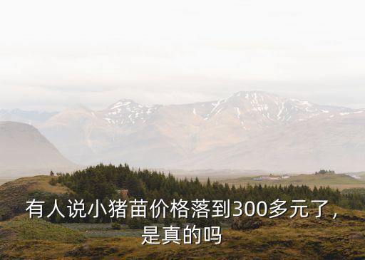 金華的小豬苗價(jià)格多少錢一斤,現(xiàn)在1000多的小豬苗