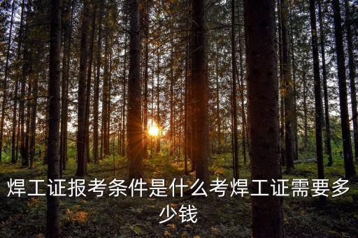 寧波考焊工證需多少錢(qián),考焊工證需要多少錢(qián)