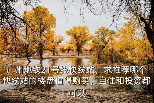 廣州地鐵21號線快線站，求推薦哪個快線站的樓盤值得購買，自住和投資都可以