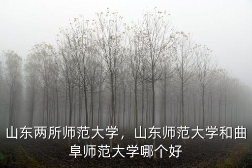 山東兩所師范大學，山東師范大學和曲阜師范大學哪個好