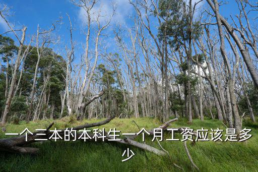 寧波三本本科畢業(yè)多少一月,在寧波月薪多少算比較正常