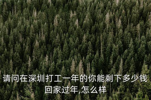 深圳過年不回家多少錢,深圳的朋友們
