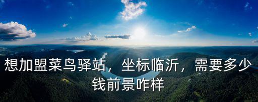泰安加盟菜鳥驛站多少錢,現在做菜鳥驛站怎么樣