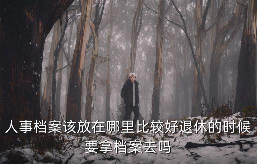 湛江市人事檔案放在哪里,人事檔案該放在哪里比較好