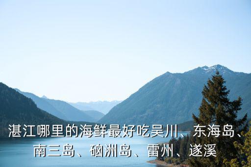 湛江赤坎哪里生蠔粥好吃,湛江哪里的海鮮最好吃