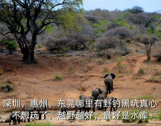 惠州野釣哪里好釣翹嘴,惠州這時候怎么好釣魚