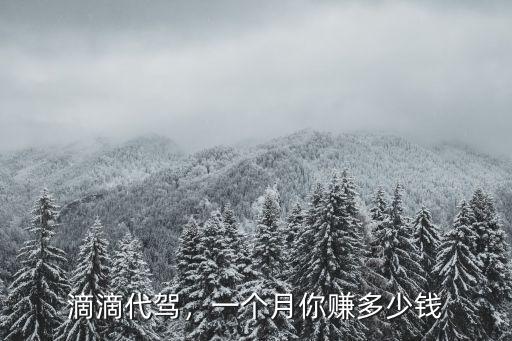 臺州滴滴一個月能賺多少錢,新手一個月能賺多少錢