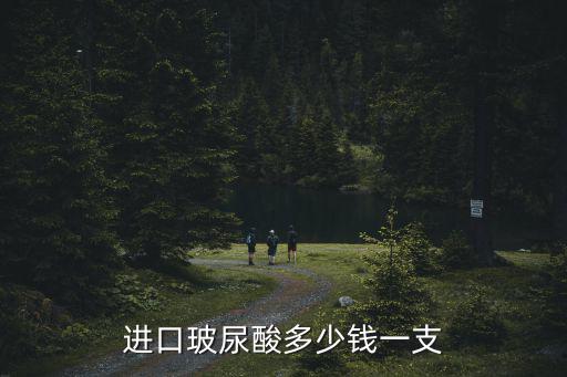 進口玻尿酸多少錢一支