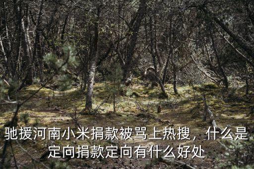 馳援河南小米捐款被罵上熱搜，什么是定向捐款定向有什么好處