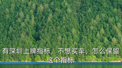 深圳一個公司有多少個車牌指標,我有一個深圳車牌指標