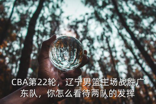 廣東隊男籃主場在哪里,遼寧男籃主場戰勝廣東隊