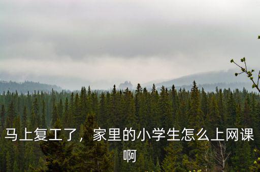 惠州小學生網課怎么開通,怎么讓農村學生上好網課