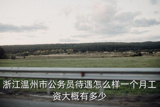 溫州瑞安機械一般工資多少錢,溫州瑞安怎么樣