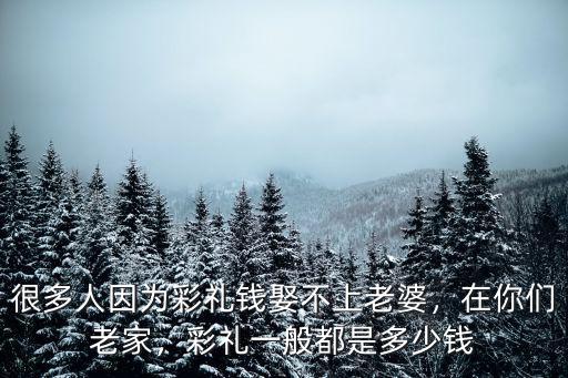 很多人因為彩禮錢娶不上老婆，在你們老家，彩禮一般都是多少錢