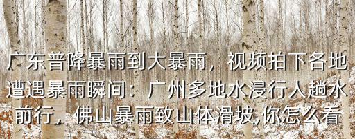 廣東普降暴雨到大暴雨，視頻拍下各地遭遇暴雨瞬間：廣州多地水浸行人趟水前行，佛山暴雨致山體滑坡,你怎么看