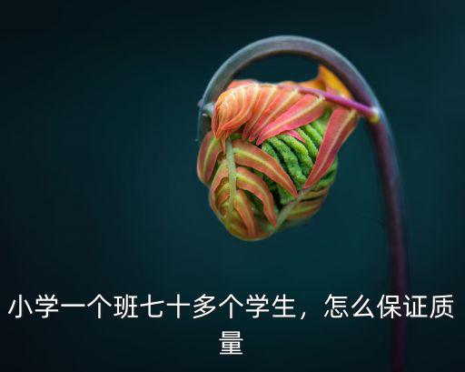 小學一個班七十多個學生，怎么保證質量