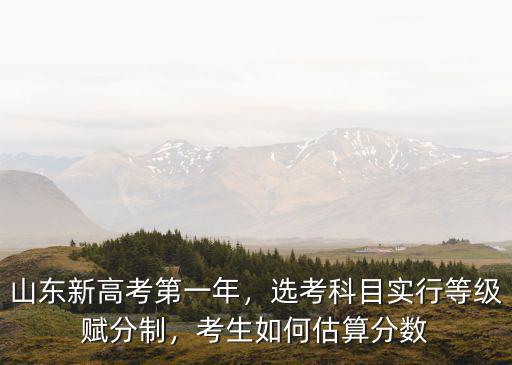 2020山東高考估得多少分,2022年高考已經結束了