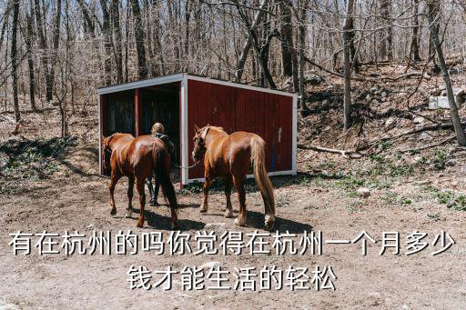 有在杭州的嗎你覺得在杭州一個月多少錢才能生活的輕松